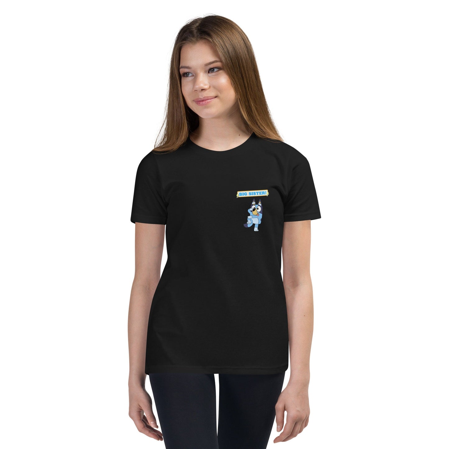 Bluey Big Sister Tshirt Sis T-shirt Birthday Gift Shirt Funny Tee Party Bluey Birthday Shirt Gift Bluey Blue Dog Short Sleeve Cartoon Shirt