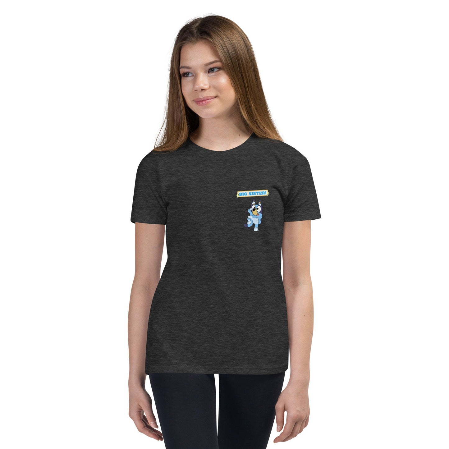 Bluey Big Sister Tshirt Sis T-shirt Birthday Gift Shirt Funny Tee Party Bluey Birthday Shirt Gift Bluey Blue Dog Short Sleeve Cartoon Shirt