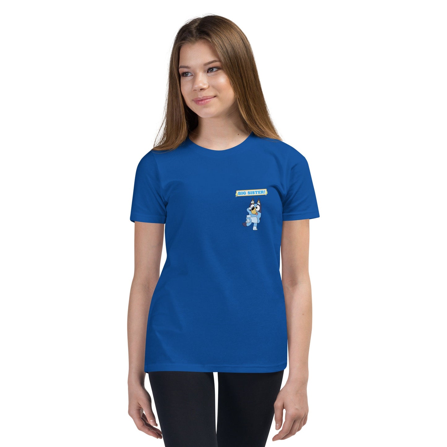 Bluey Big Sister Tshirt Sis T-shirt Birthday Gift Shirt Funny Tee Party Bluey Birthday Shirt Gift Bluey Blue Dog Short Sleeve Cartoon Shirt
